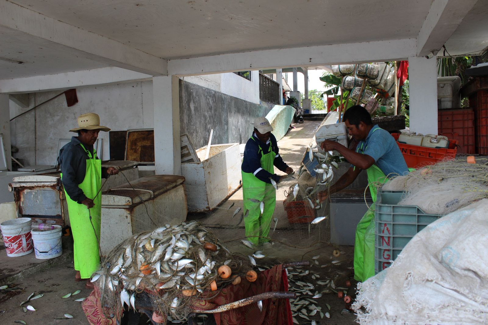 Trabajo con pescadores